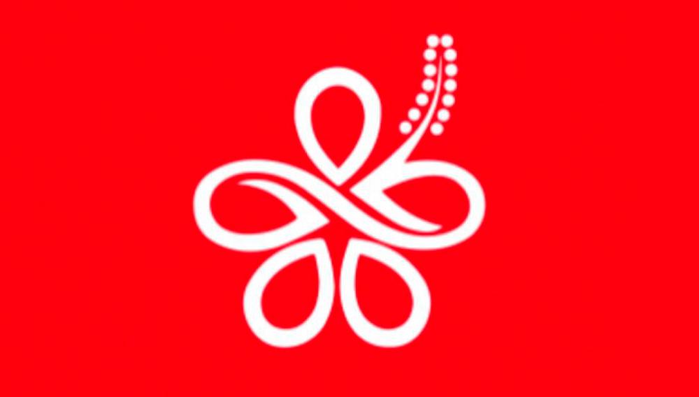 Bersatu’s decision to exit PH is clear, say members