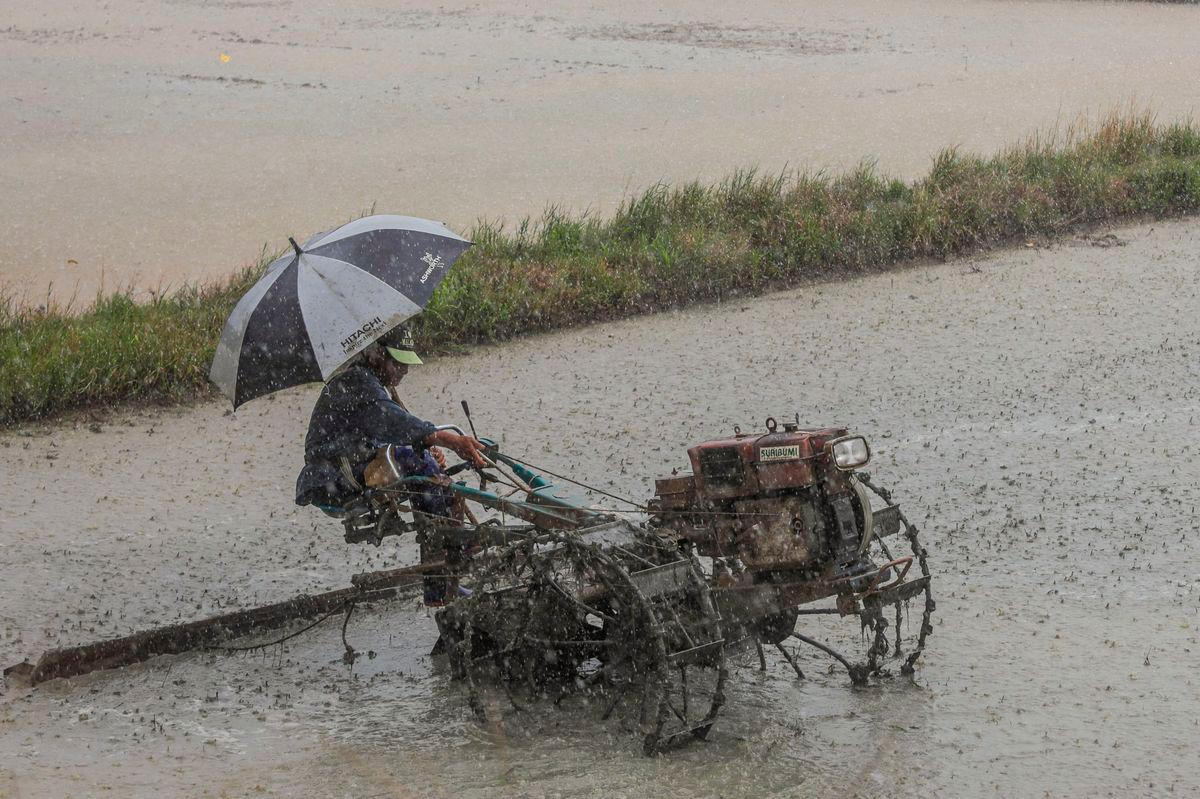 Image for visual purposes - Photo by BERNAMA