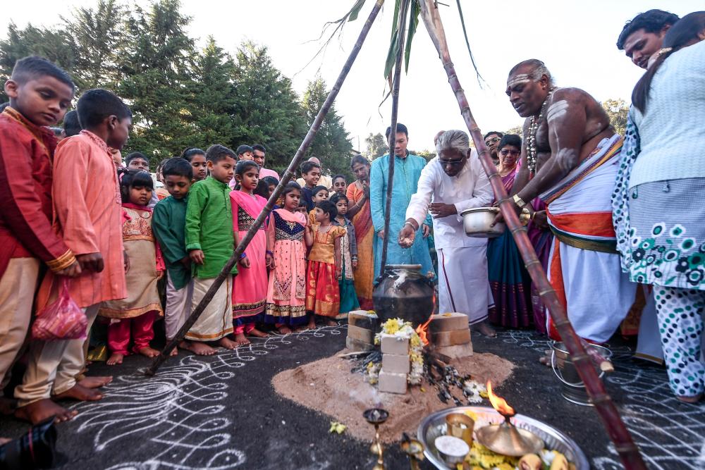 Pakatan Harapan’s candidate for the Jan 26 Cameron Highlands parliamentary by-election M. Manogaran puts rice in the clay pot as part of the Ponggal harvest festival at the Sri Subramaniyar temple in Tanah Rata, Cameron Highlands on Jan 15, 2019. — Bernama