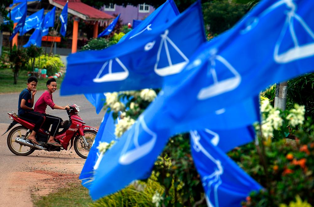 Political party flags were seen hovering all the way in the wake of the Chini by-election campaign in Felda Chini 3 yesterday. — Bernama
