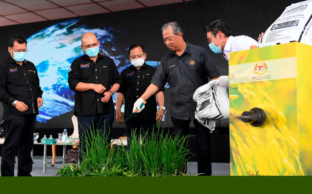 Prime Minister Tan Sri Muhyiddin Yassin (2R) launching the Bukit Huma Padi Fertiliser and Pesticide Subsidy Scheme at Dataran Bagandang today. — Bernama