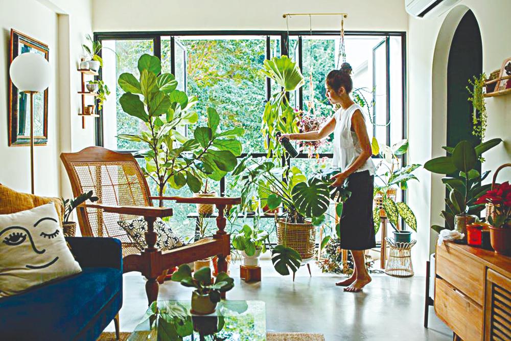 Five plants to instantly attract good vibes and positive energy into your living space