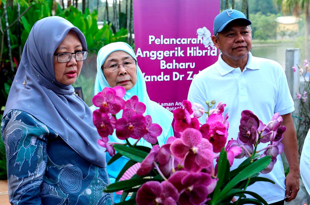 Isteri Perdana Menteri Datuk Seri Dr Wan Azizah Wan Ismail (tengah) melihat spesis orkid hibrid baharu Vanda Dr Zaliha pada Majlis Perasmian Putrajaya Parks Day 2025 di Taman Botani, Presint 1 hari ini- BERNAMA