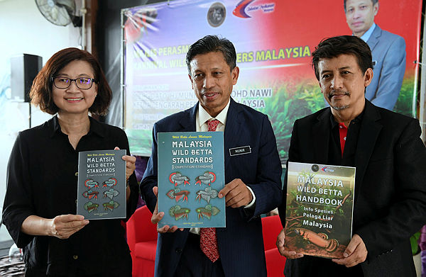Fisheries Department director-general Datuk Munir Mohd Nawi (centre) during the launch of the Wild Betta Lovers Malaysia Carnival organised by Persatuan Pencinta Ikan Laga Liar Malaysia at the Malaysia Agro Exposition Park Serdang today. — Bernama