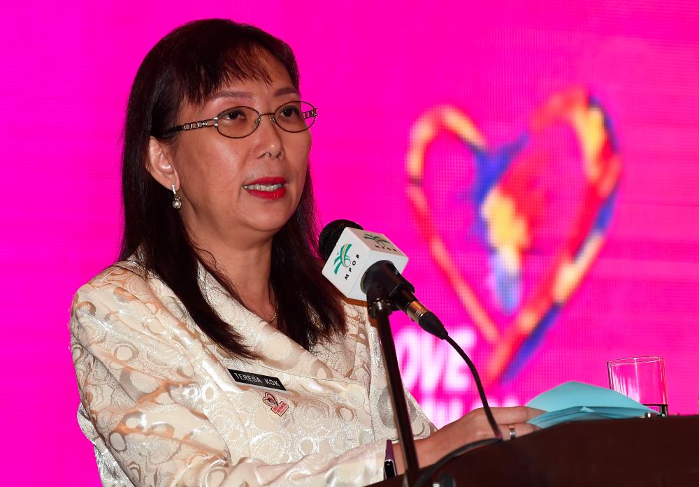 Court hears Teresa Kok’s suit against Syarhan