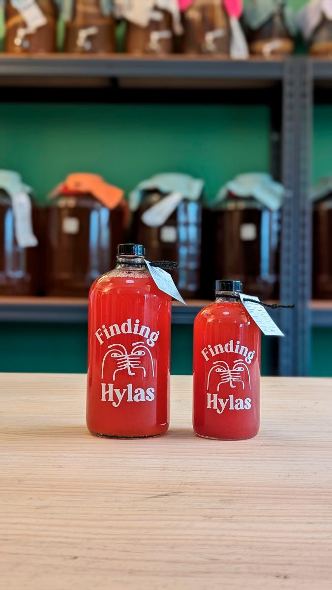 $!Kombucha is a fermented, lightly carbonated beverage that is said to have many health benefits.