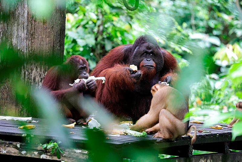 Gambar sekadar hiasan sahaja–fotoBernama