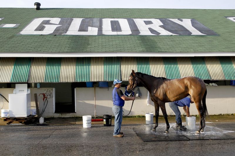 A horse is bathed after morning workout May 2, 2016, Louisville, Kentucky, for the Kentucky Derby at Churchill Downs. — Reuters