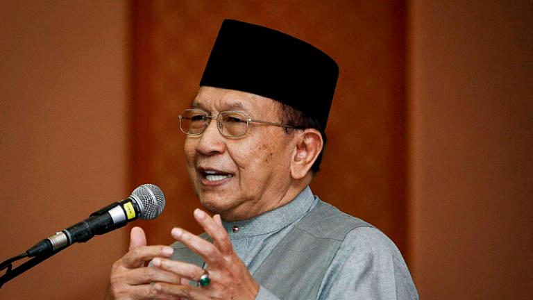 New party will only divide Malays further: Rais Yatim