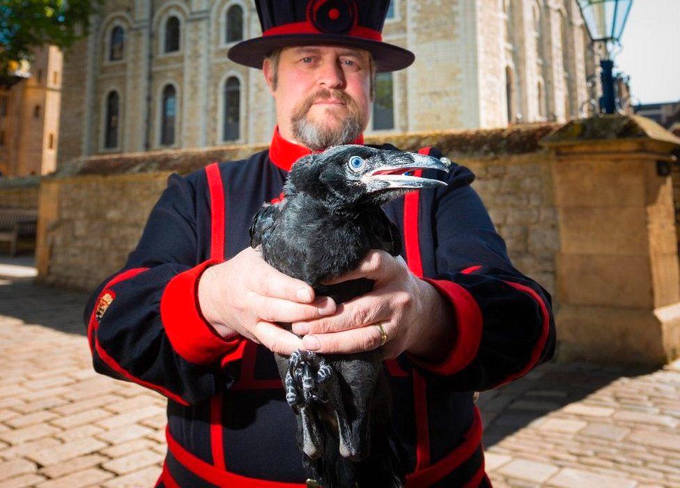 Ravenmaster Christopher Skaife. Image by Historic Royal Palaces