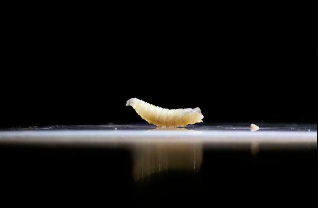 Pix for representational purposes - REUTERSPIX