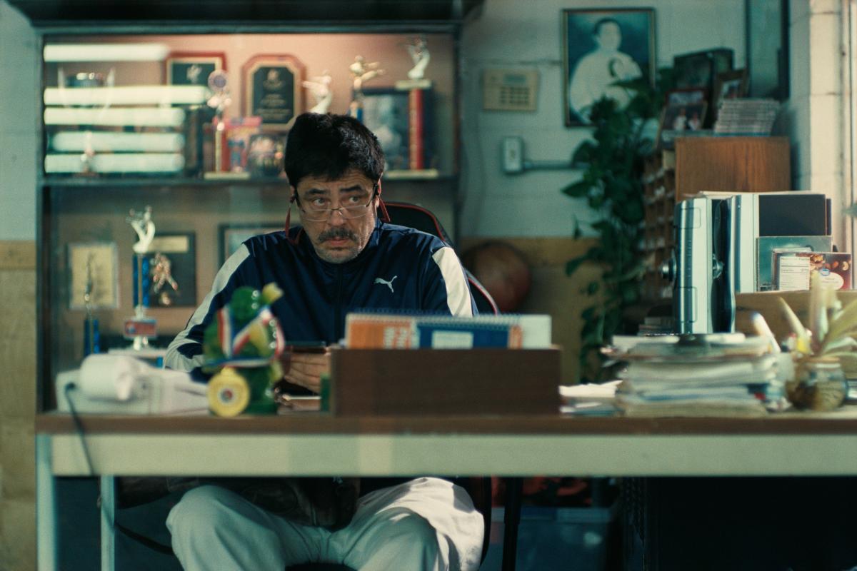 Sergio (del Toro), the eccentric martial-arts sensei, brings both chaos and comedy to the fight. $!Sergio (del Toro), the eccentric martial-arts sensei, brings both chaos and comedy to the fight.