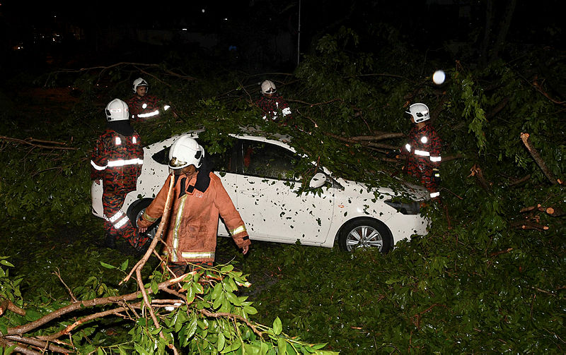 Uprooted trees being removed by fire and rescue officers following a freak storm in Penang, on Aug 9, 2019.