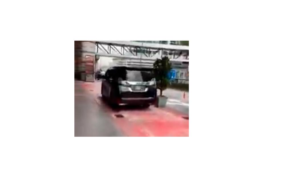 Screenshot of the video posted by the genuine owner of the Toyota Vellfire.