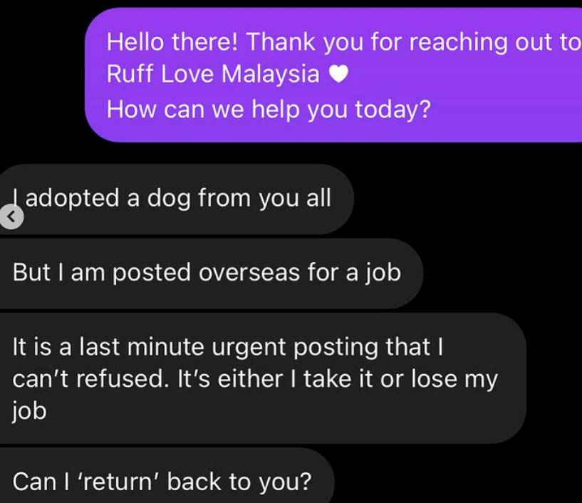 $!Adopter threatens to abandon dog after overseas job offer
