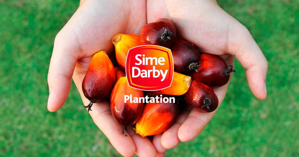 Sime Darby Plantation stages turnaround for fourth quarter, full year