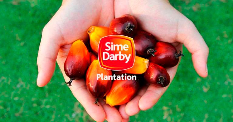 Sime Darby Plantation sets up commission to evaluate its labour practices