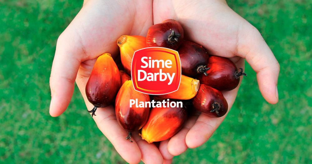 Sime Darby Plantation sells Indonesian land for RM123.1m