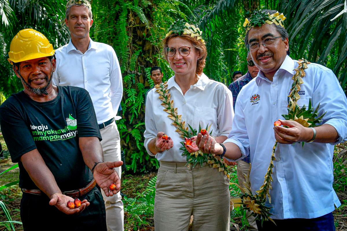 Menteri Perladangan dan Komoditi Datuk Seri Johari Abdul Ghani (kanan) bersama Pesuruhjaya Eropah bagi Alam Sekitar, Ketahanan Air dan Ekonomi Kitaran Berdaya Saing, Jessika Roswall (dua, kanan) ketika hadir melawat Ladang Kelapa Sawit di Kampung Sungai Judah Pulau Carey, hari ini - fotoBERNAMA