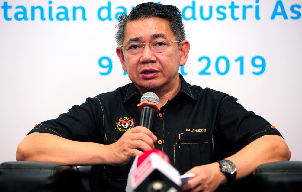 Agriculture and Agro-based Industry Minister Datuk Salahuddin Ayub. — Bernama