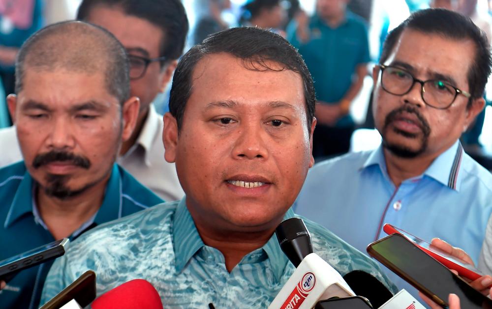 Bernamapix