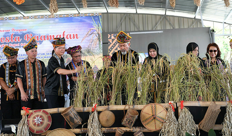The state-level Kaamatan Festival in Pitas today.