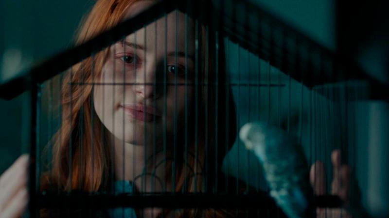 $!Sightless was Madelaine Petsch’s first major feature movie role. – IMDB