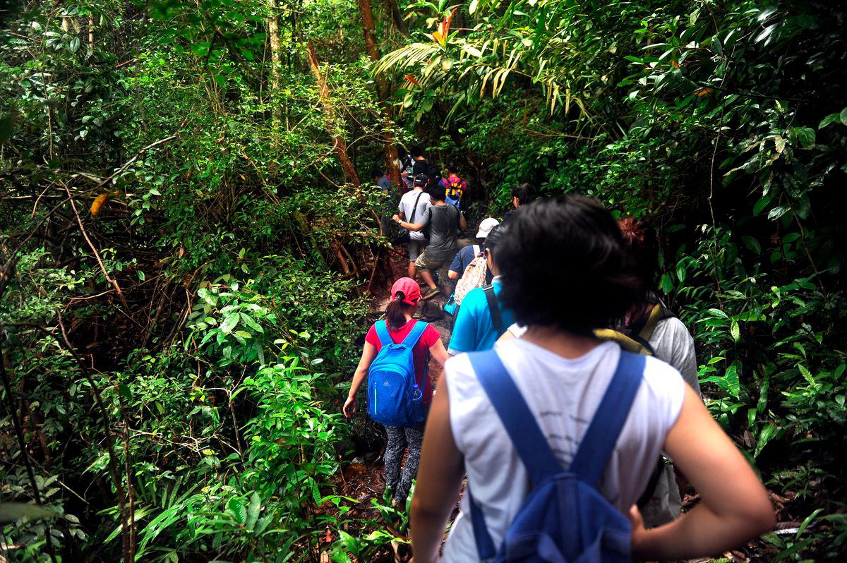 Taman Negara Bako - BERNAMAPIX
