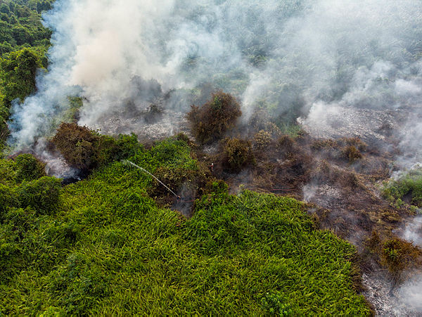 Sarawak Fire and Rescue Department (JBPM) personnel from the Asajaya Fire Station work to extinguish a three-acre bush fire in Asajaya, about 65km from Kuching, on Aug 12, 2019. — Bernama