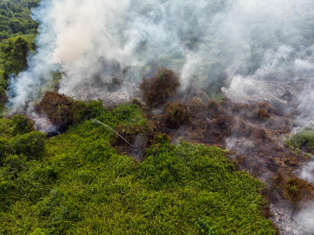 Fire and Rescue Department personnel work to douse a wildfire near Asajaya, about 65km from Kuching, Sarawak on Aug 12, 2019. — Bernama