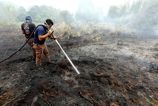 Firemen work to put out the leftovers of a fire at a forest near Kampung STC, Sri Aman today. — Bernama