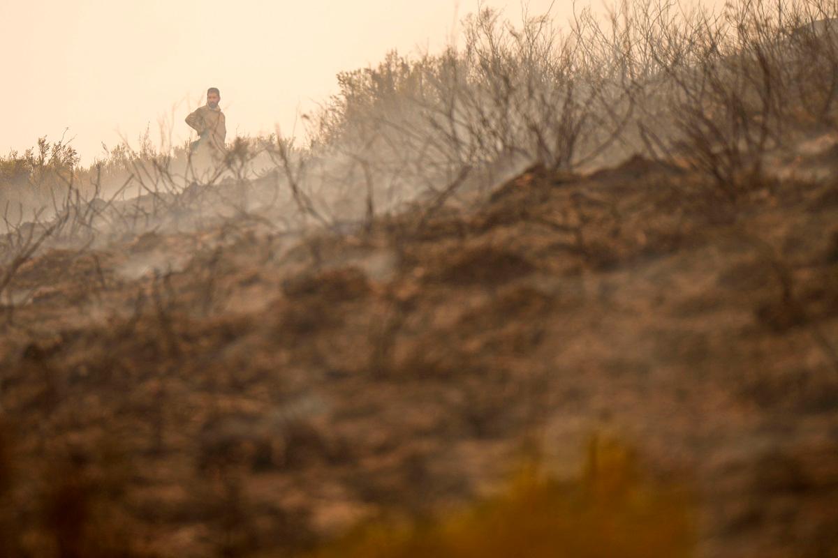 A resident stands in a burned field as he battles a wildfire in the locality of Colinas del Campo de Martin Moro Toledano, province of Leon, northwestern Spain on August 21, 2025. - Cesar Manso / AFP