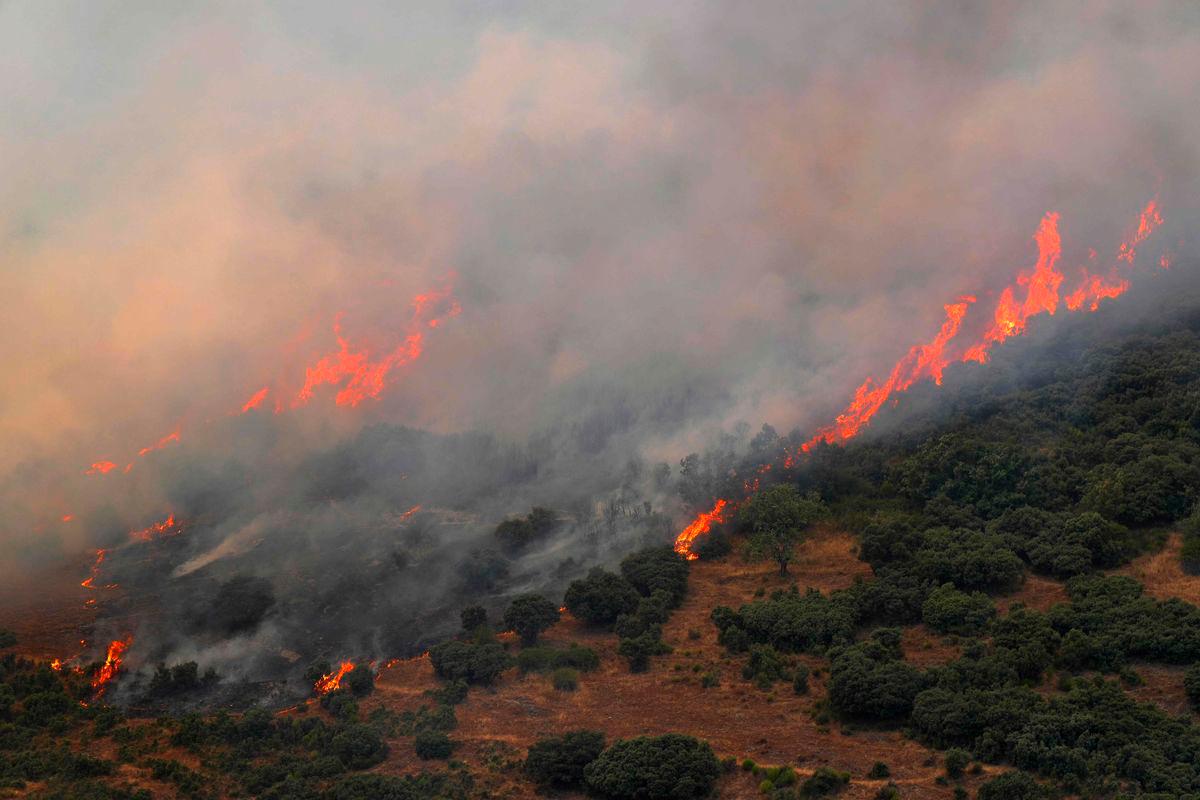 A wildfire burns in Castrillo de Cabrera, northwestern Spain, on August 16, 2025. Spain, now in its third week under a heatwave alert, is still battling wildfires raging in the northwest and west of the country, where the army has been deployed to help contain the blazes. The regions of Castilla y Leon, Galicia, Asturias and Extremadura remain the hardest hit. (Photo by Cesar Manso / AFP)