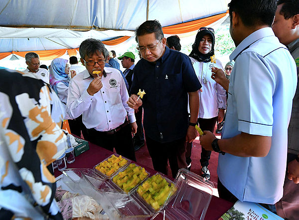 Agriculture and Agro-Based Industry Minister Datuk Salahuddin Ayub (in black) enjoys some star fruit at the launch of the new Mardi star fruit clone Bintang Mas at the Kluang Mardi station on April 7, 2019. — Bernama