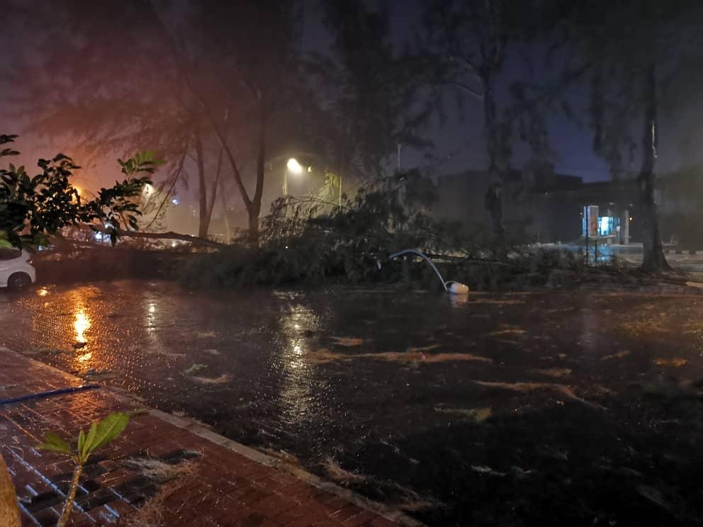 Uprooted trees following a storm that swept through Langkawi, on Aug 9, 2019.