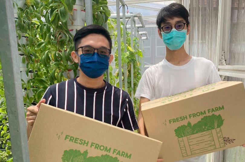 Soong (left) and Lee with the organic produce from their established aquaponics, the fruits of APU’s Sandbox Incubation Centre.
