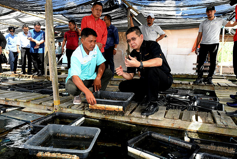 Suhaili Abdurahman (L) and Agriculture and Agro-based Industry Minister Datuk Salahuddin Ayub to Suhaili (R) looks at the former’s soft-shell crab breeding farm, on March 16, 2019. — Bernama