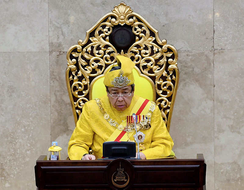 Selangor non-Muslim exco members attend audience with Sultan