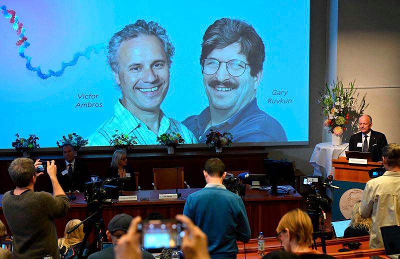 Olle Kaempe, member of the Nobel Assembly, speaks to the media in front of screen displaying a picture of this year’s laureates Victor Ambros and Gary Ruvkum during the announcement of the winners of the 2024 Nobel Prize in Physiology or Medicine at the Karolinska Institute in Stockholm on October 7, 2024. Victor Ambros and Gary Ruvkum won the Nobel medicine prize on October 7, 2024 for the discovery of microRNA and its role in how gene activity is regulated, the Nobel jury said. - Jonathan NACKSTRAND / AFP