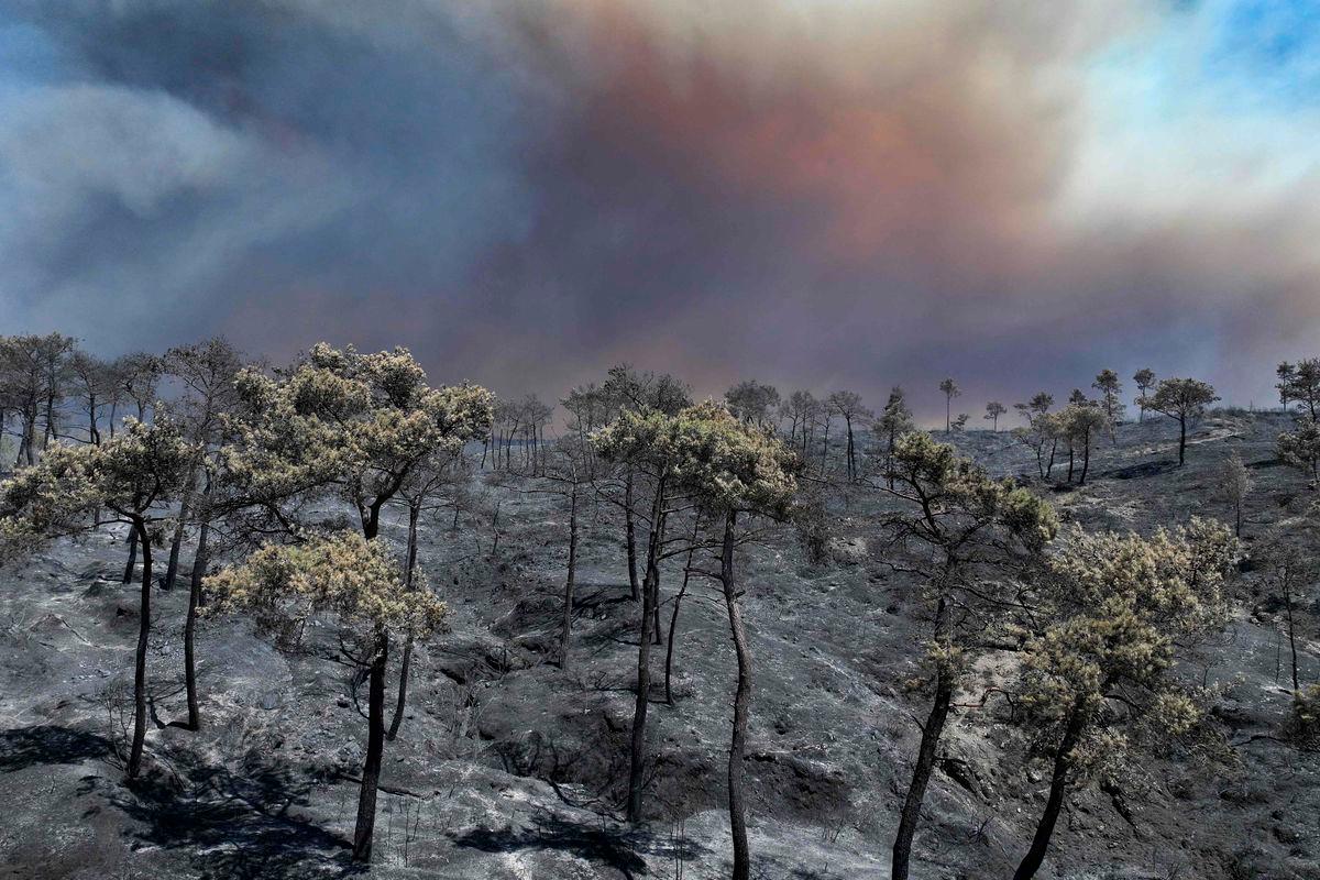 Smoke billowing from a forest fire in the coastal Syrian province of Latakia on July 5, 2025. (Photo by OMAR HAJ KADOUR / AFP)