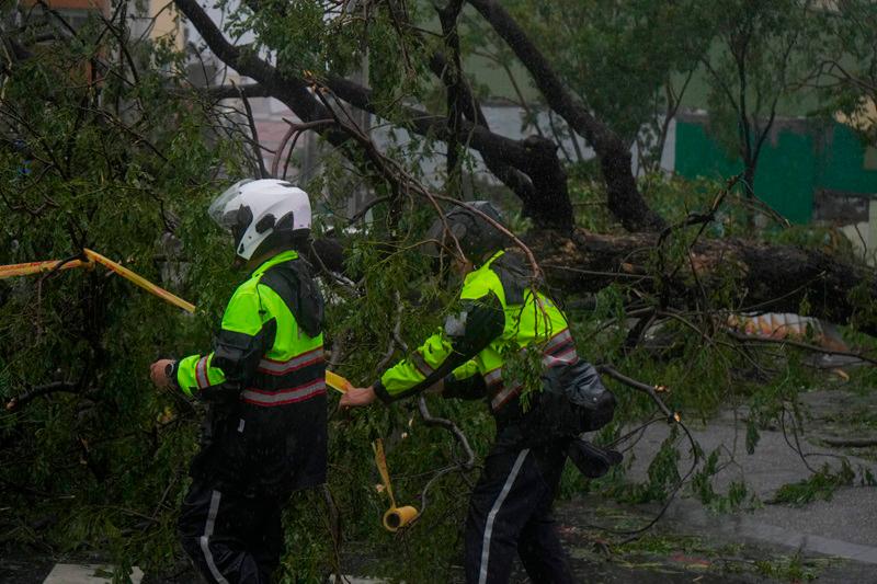 Police cordon off a fallen tree after Typhoon Krathon made landfall in Kaohsiung on October 3, 2024. Typhoon Krathon made landfall in Taiwan's south on October 3, the island's weather agency said, after forcing schools and offices to shut for a second day amid winds and rain that have left two dead and more than 100 injured. - WALID BERRAZEG / AFP