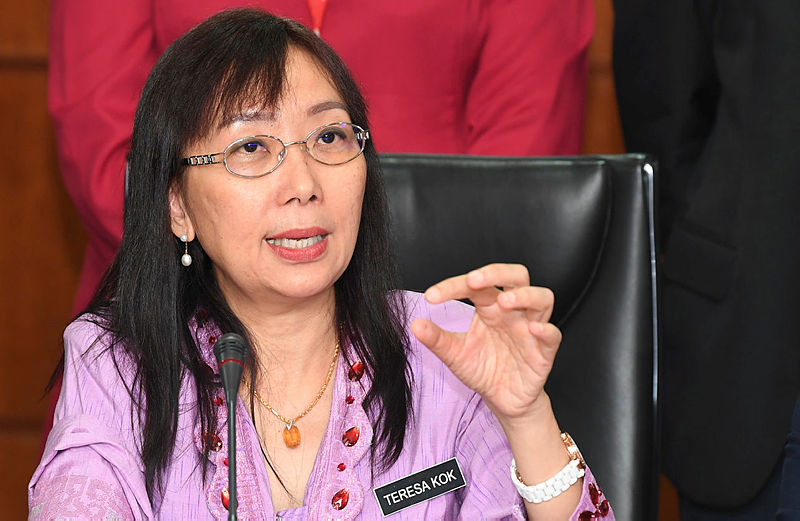 Be serious with implementation of biodiesel programmes in Sarawak: Teresa Kok