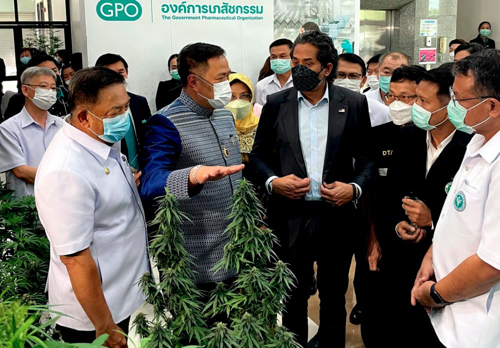 Health Minister Khairy Jamaluddin (third, left) and Thai’s Minister of Public Health, Anutin Charnvirakul (right) looking at cannabis plants and products at Government Pharmaceutical Organisation (GPO) Thanyaburi Branch in Pathum Thani, Thailand/fotoBERNAMA