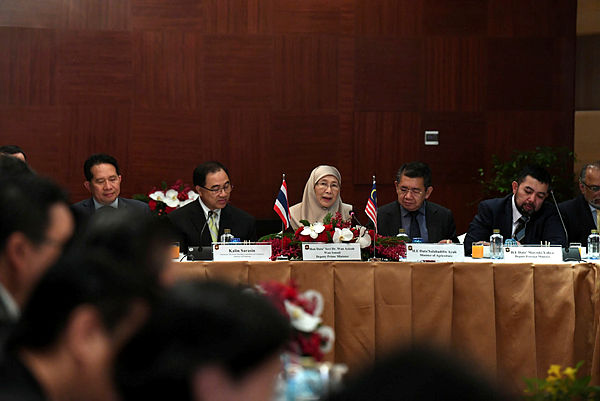Deputy Prime Minister Datuk Seri Dr Wan Azizah Wan Ismail delivers her speech at the Joint Standing Committee in Commerce, Industry and Banking (JSCCIB) meeting in Bangkok, Thailand on Jan 25, 2019. — Bernama