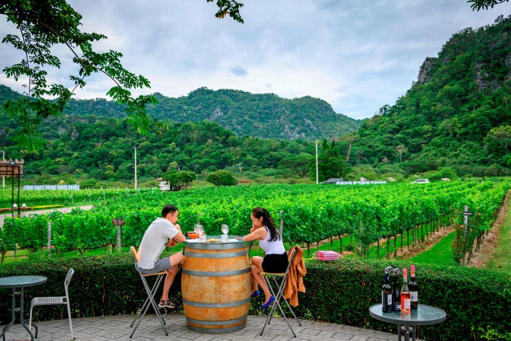 This photograph taken on June 26, 2020 shows tourists tasting wine at GranMonte Vineyard and Winery in Nakhon Ratchasima, some 170 km north east of Bangkok. AFP / Mladen ANTONOV