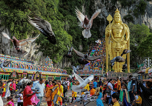 Devotees perform their religious rites during the Thaipusam festival at Batu Caves, on the outskirts of Kuala Lumpur on Jan 20, 2019. — Sunpix by Amirul Syafiq Mohd Din