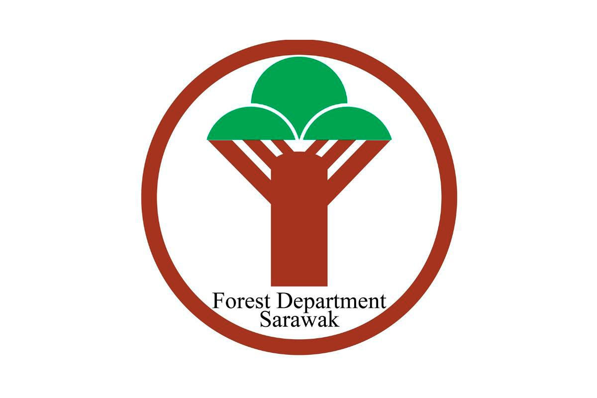 via Forest Department Sarawak / Facebook