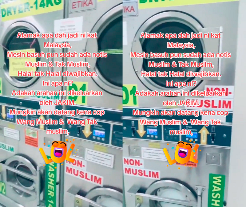 Credit: @sunmoon4view TikTok