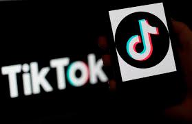 TikTok slams US action, says will challenge ‘unjust’ order