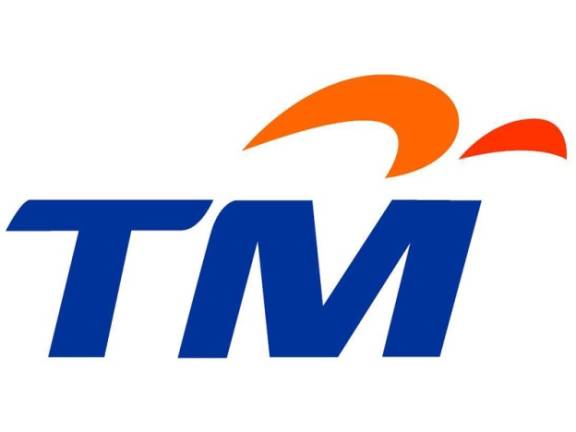 TM shares fall on lower earnings